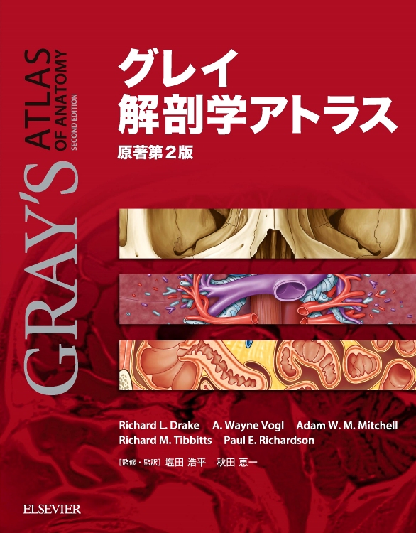 グレイ解剖学アトラス 原著第2版 電子書籍（日本語版）付